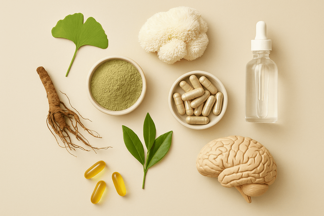 A flat lay of natural nootropic ingredients including Ginkgo biloba, Lion’s Mane mushroom, Rhodiola root, herbal capsules, a dropper bottle, and a brain model on a neutral background.
