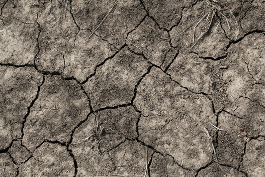 How to Tell If You’re Dehydrated & How to Prevent It In the First Place