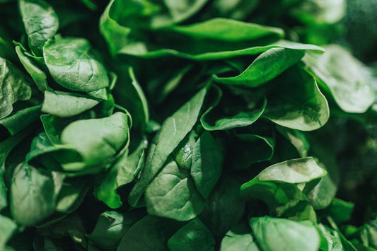 Sick too Often? Electrolytes and Your Immune System