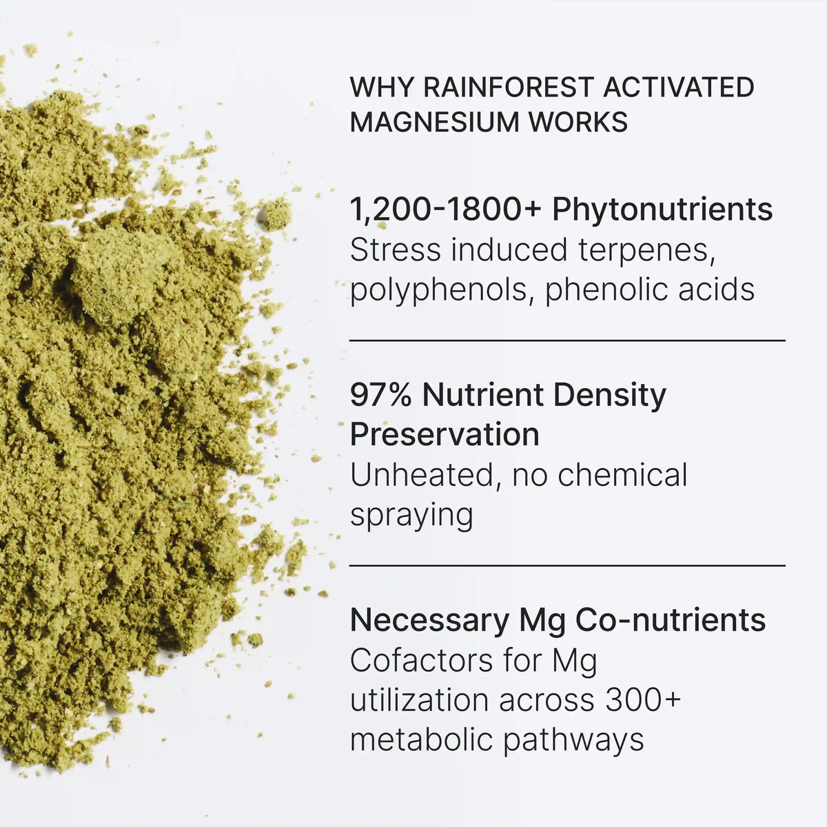 Rainforest Activated Magnesium
